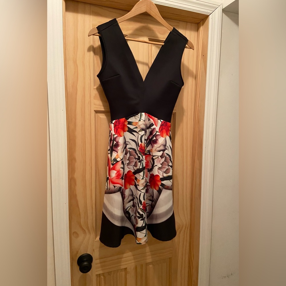 Clover Canyon fit and flare dress